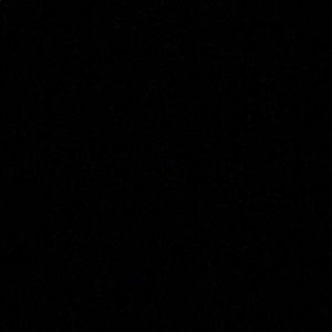 Meet your Posher, Lionel